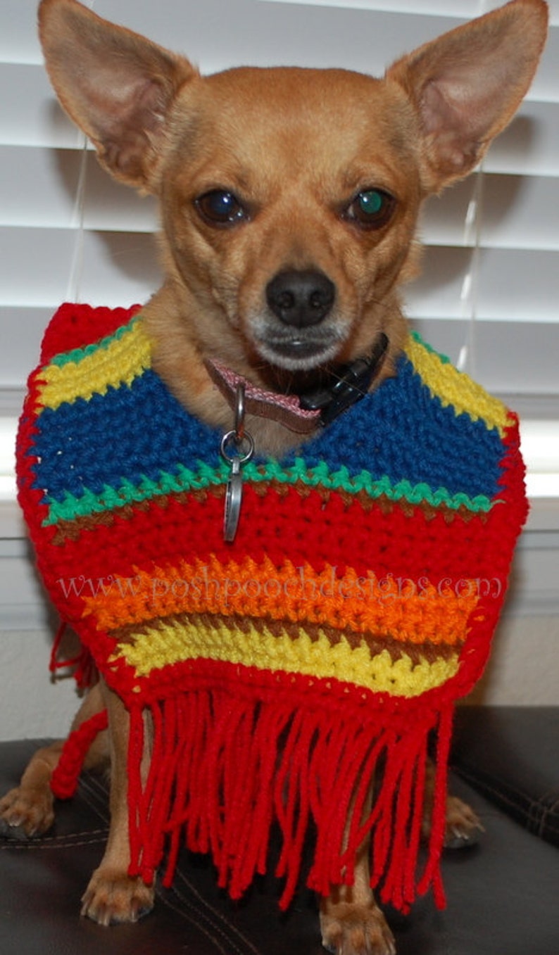 Instant Download Crochet pattern Dog Sombrero and Poncho set Cinco De Mayo image 3