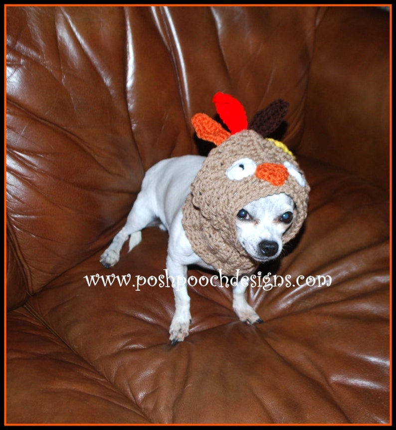 Turkey Dog Snood Instant Download Crochet Pattern For Small Dogs image 1