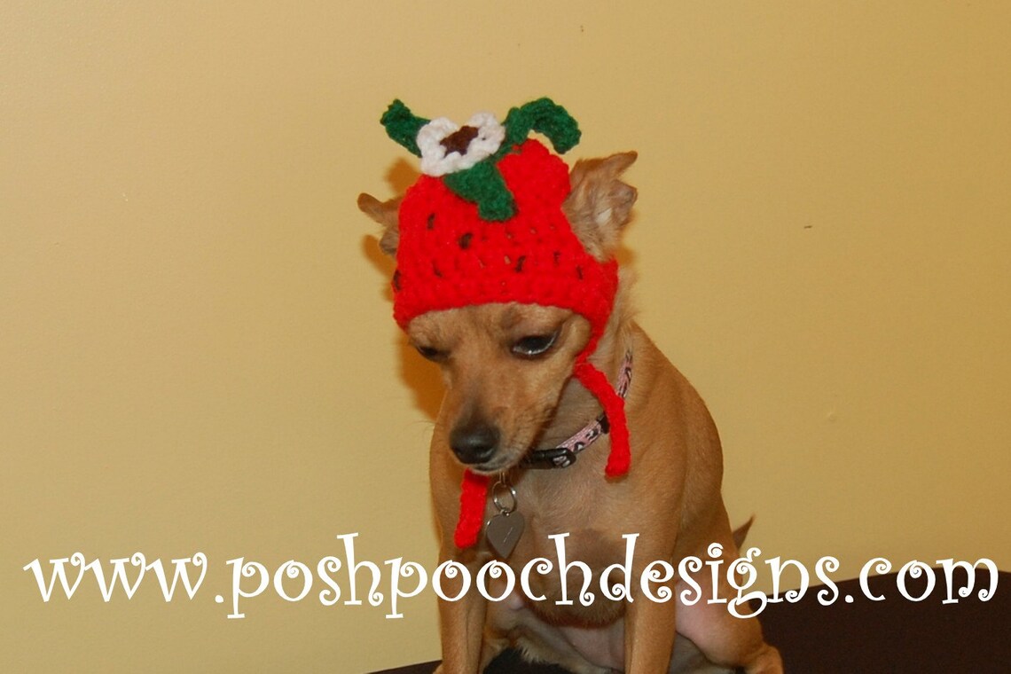 Instant Download Crochet Pattern Strawberry Dog Hat Small Etsy