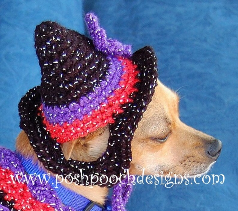 Instant Download Crochet Pattern Witchy Poo Dog Sweater and hat Set image 4