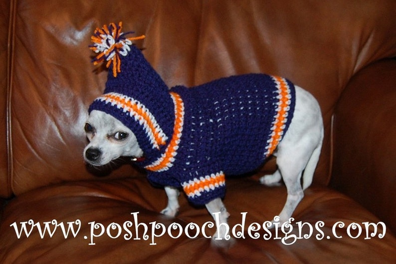 Instant Download Crochet Pattern Sports Team Dog Hoodie Small Dog Hoody 2-20 lbs image 5