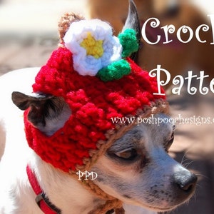 Instant Download Crochet Pattern - Apple Dog Hat - Small Dog Beanie 2-20 lbs