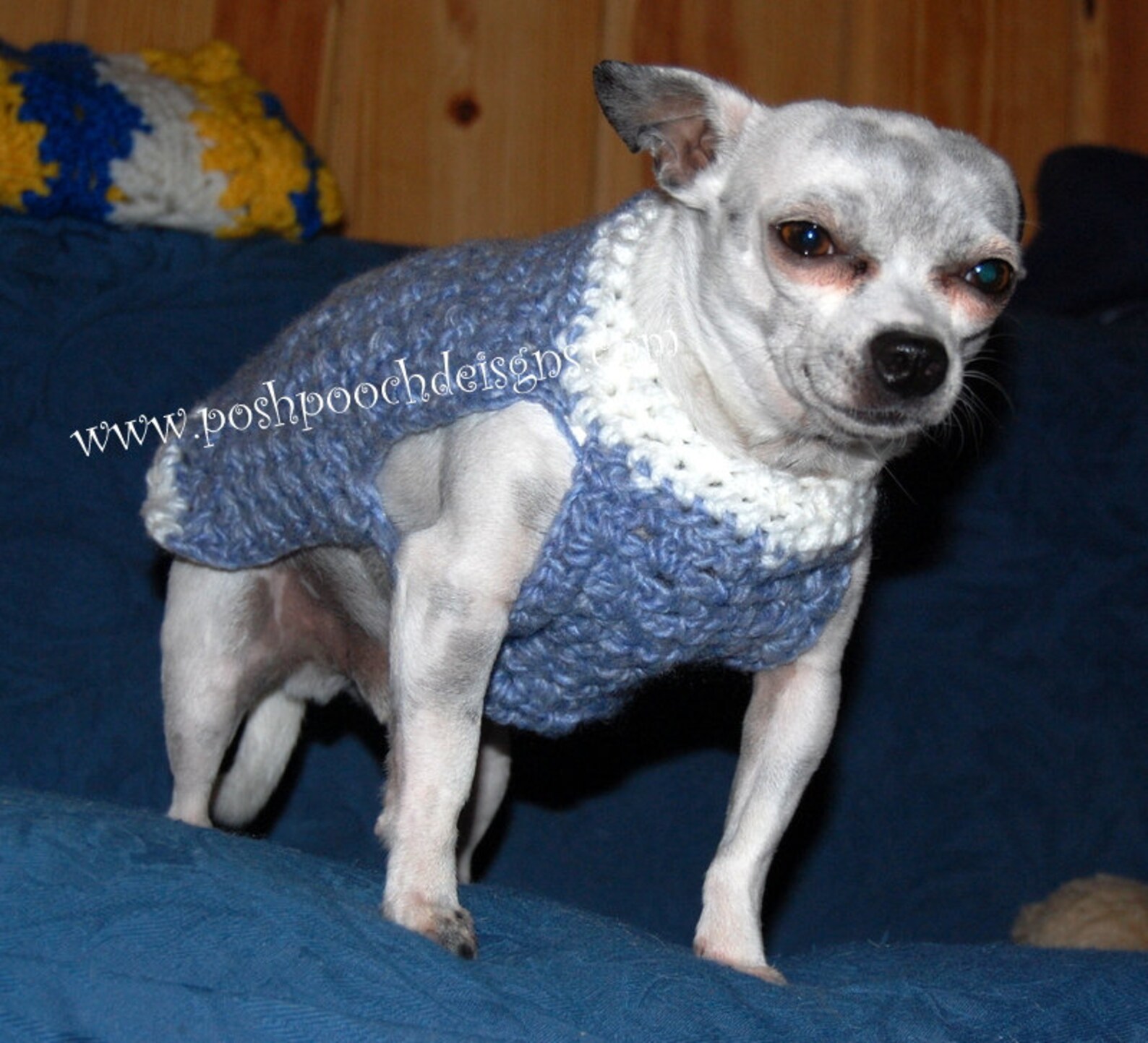 Instant Download Crochet Pattern Easy Chunky Dog Sweater Etsy