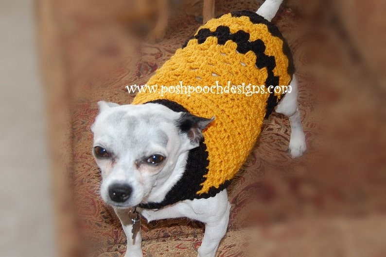 Instant Download Crochet Pattern Charlie Brown Style Dog Sweater Small Dog 2-20 lbs image 2