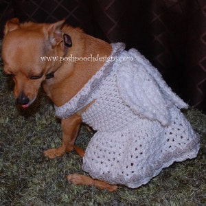 Instant Download Crochet pattern Angel Dog Costume Dog Angel Sweater image 3