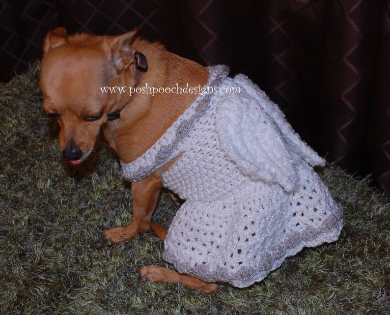 Instant Download Crochet pattern Angel Dog Costume Dog Angel Sweater image 3