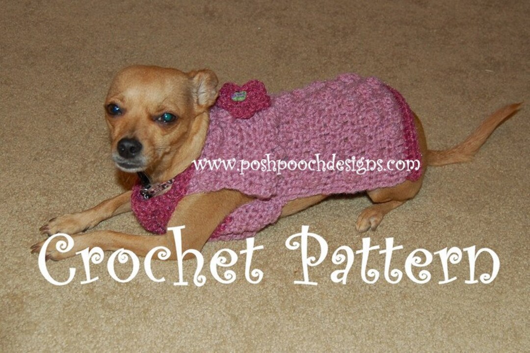Instant Download Crochet Pattern Pop Corn Dog Sweater Small Dog Sweater
