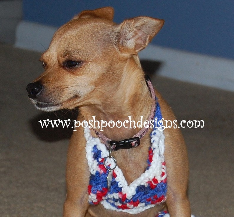 Instant Download Crochet Pattern Dog Bikini top and Ruffle Etsy