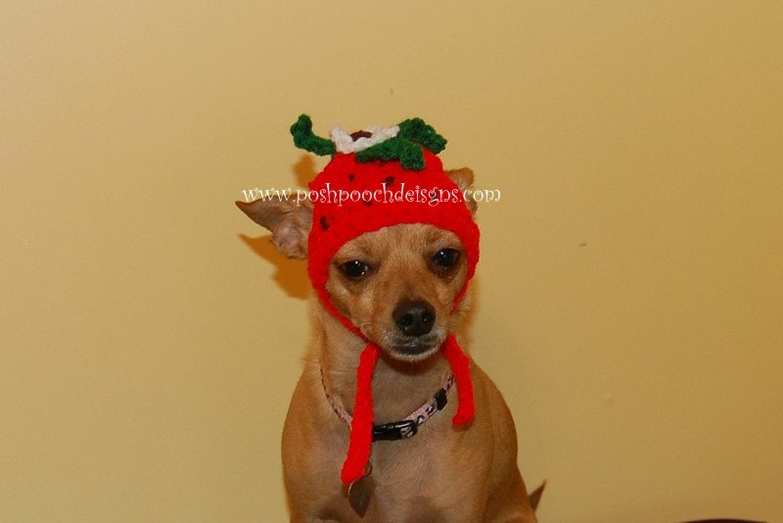 Instant Download Crochet Pattern Strawberry Dog Hat Small Etsy