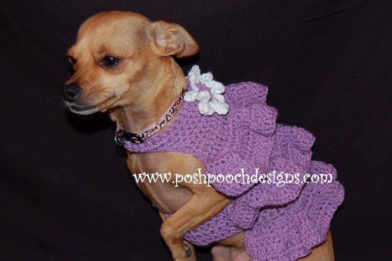 Instant Download Crochet Pattern Ruffles Dog Sweater Dress Small Dog Sweater 2-20 lbs image 2
