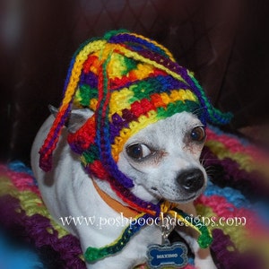 Instant Download Crochet Pattern Squiggles Dog Hat Small Dog Beanie image 3