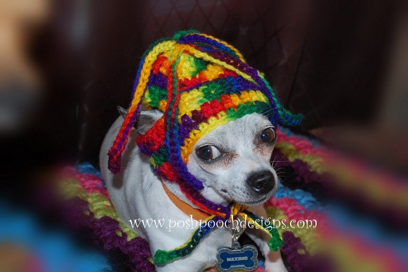 Instant Download Crochet Pattern Squiggles Dog Hat Small Dog Beanie image 3