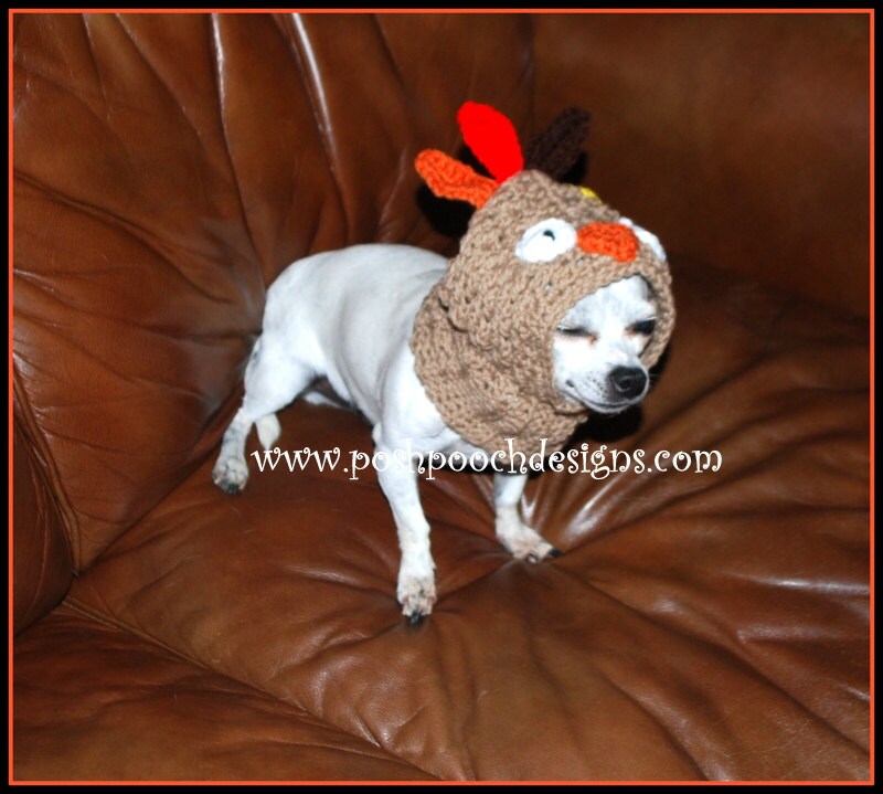 Turkey Dog Snood Instant Download Crochet Pattern for Small | Etsy