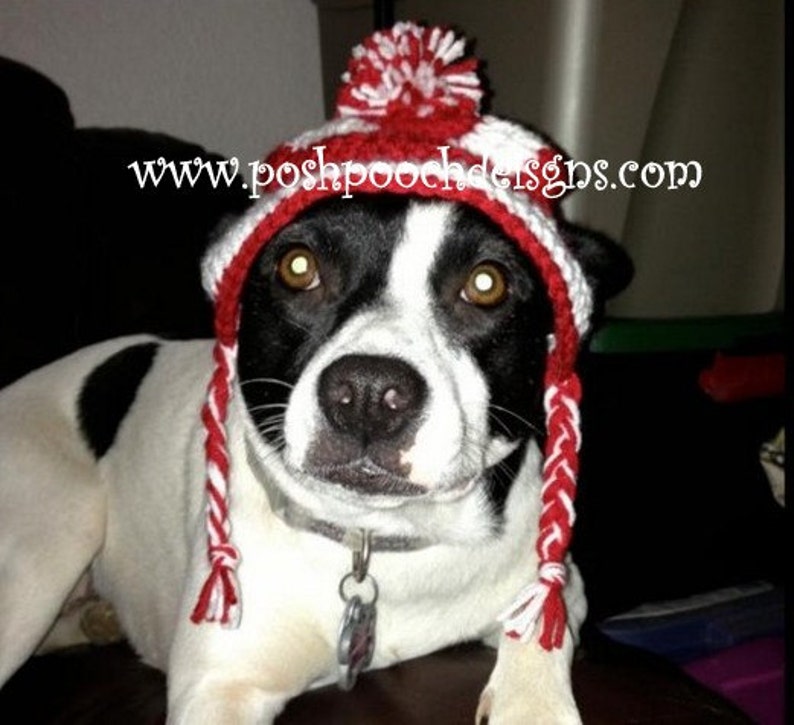 Instant Download Crochet Pattern Medium Dog Earlap Striped Dog hat 15 to 30 lbs image 2