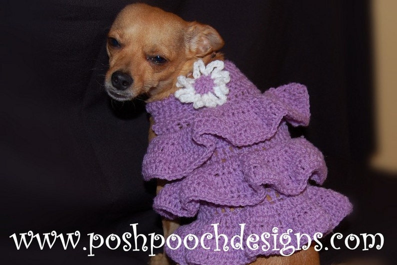 Instant Download Crochet Pattern Ruffles Dog Sweater Dress Small Dog Sweater 2-20 lbs image 3