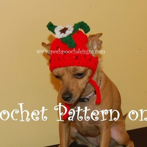 Instant Download Crochet Pattern - Strawberry Dog Hat - Small Dog Beanie 2-20 lbs