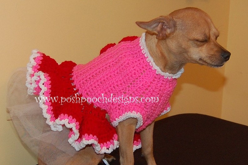 Instant Download Crochet Pattern Valentine Dog Dress Small Dog Sweater 2-20 lbs image 2