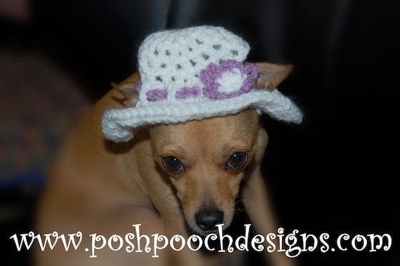 Instant Download Crochet Pattern Floppy Sun Hat for Dogs Small Dogs 2 20 Lbs Etsy Canada