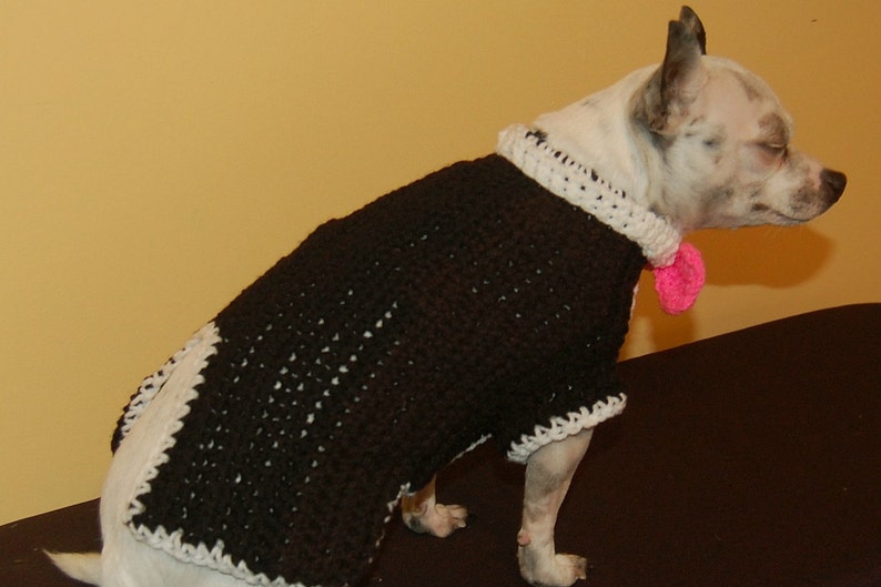 Instant Download Crochet Pattern Tuxedo Dog Sweater Small Dog Sweater 2-20 lbs image 3