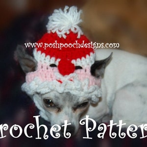 Instant Download Crochet Pattern - Santa Claus Dog Hat - Small Dog Beanie