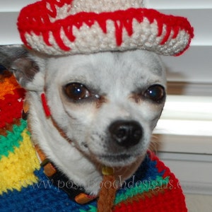 Instant Download Crochet pattern Dog Sombrero and Poncho set Cinco De Mayo image 2