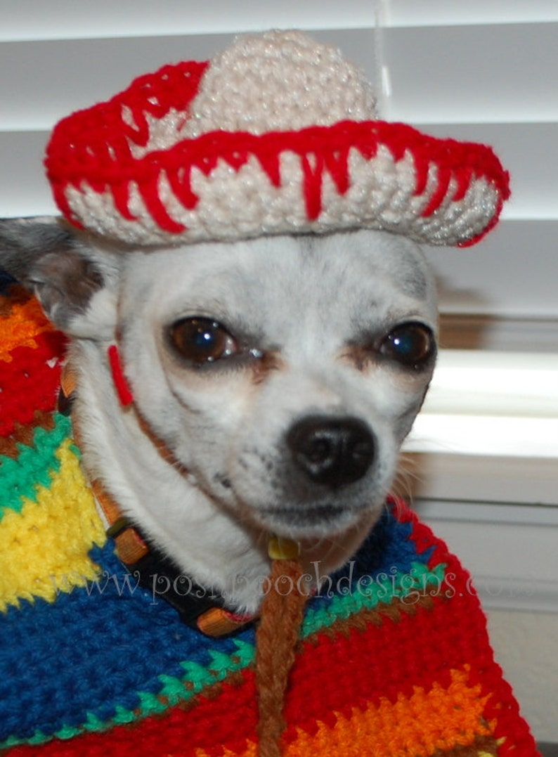 Instant Download Crochet pattern Dog Sombrero and Poncho set Cinco De Mayo image 2