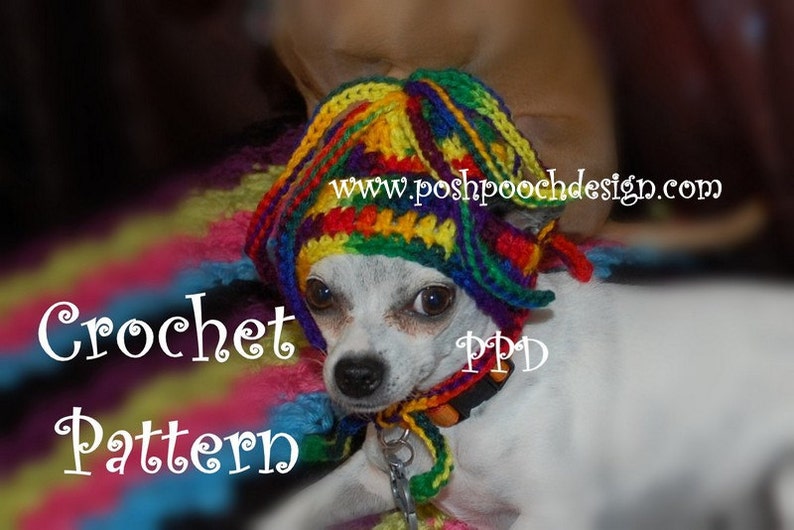 Instant Download Crochet Pattern Squiggles Dog Hat Small Dog Beanie image 1