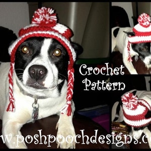 Instant Download Crochet Pattern  Medium Dog Earlap Striped Dog hat - 15 to 30 lbs