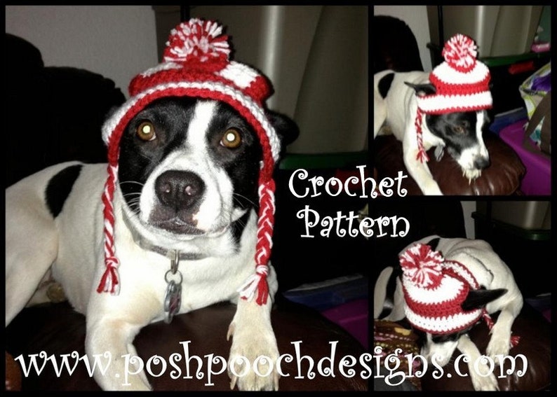 Instant Download Crochet Pattern Medium Dog Earlap Striped Dog hat 15 to 30 lbs image 1