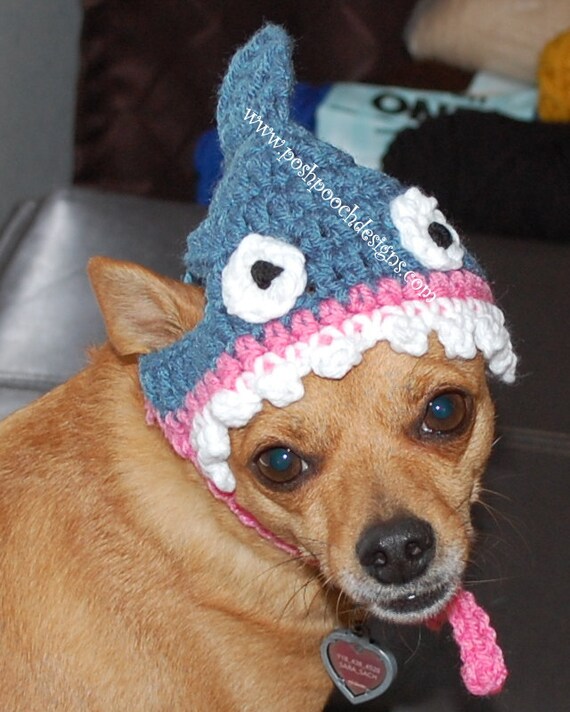 dog shark hat