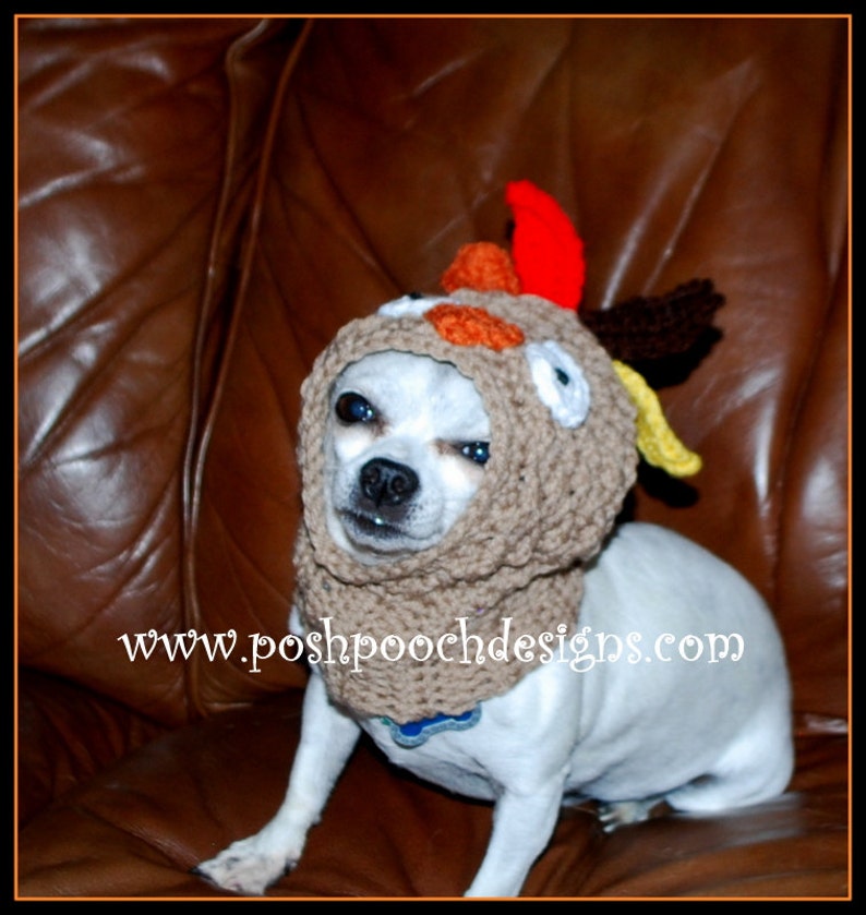 Turkey Dog Snood Instant Download Crochet Pattern For Small Dogs image 5