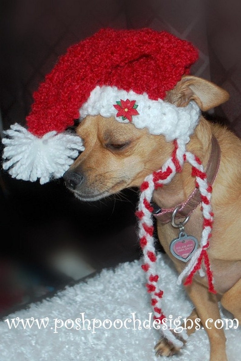 Instant Download Crochet Pattern Red Boucle' Dog Christmas Stocking Cap Small Dog hat image 4