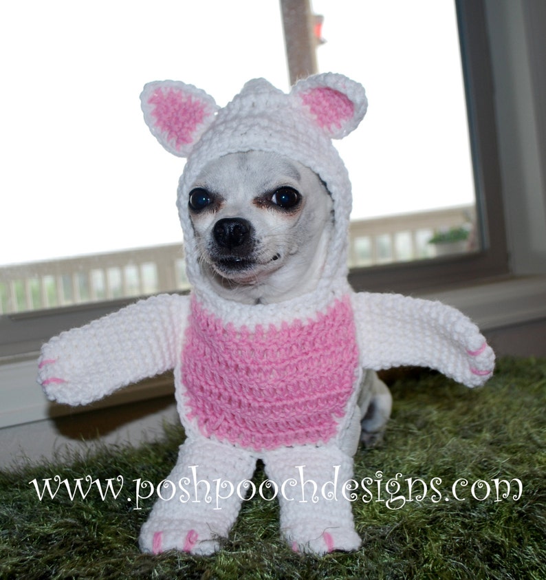 Instant Download Crochet Pattern Walking Bear Dog Costume XXS-M