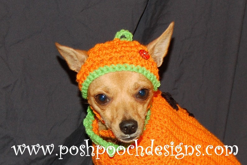 Instant Download Crochet Patterns Pumpkin Hat for Dogs 3 sizes S-L image 4