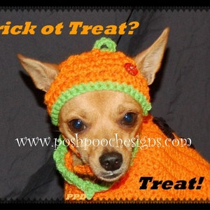 Instant Download Crochet Patterns Pumpkin Hat for Dogs 3 sizes S-L image 2