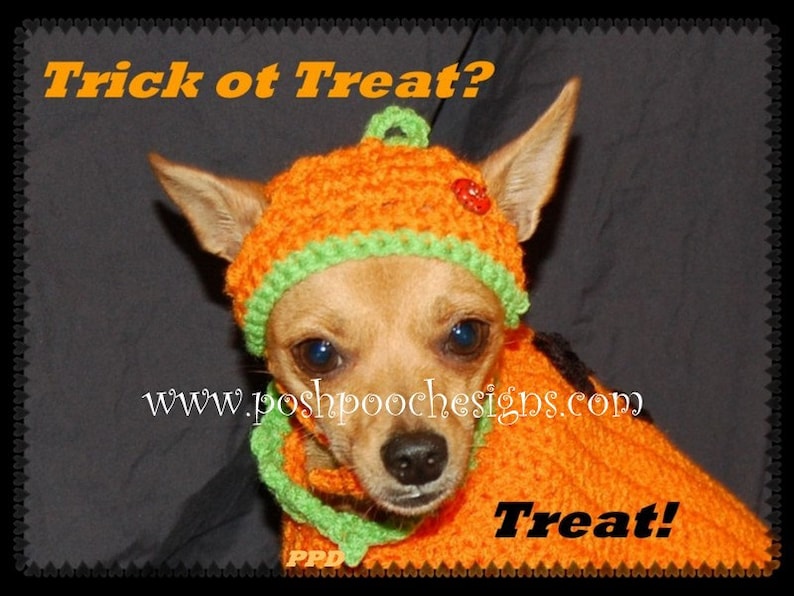 Instant Download Crochet Patterns Pumpkin Hat for Dogs 3 sizes S-L image 2