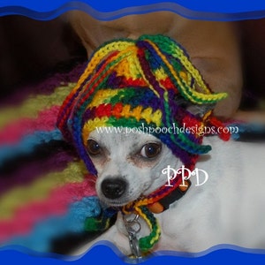 Instant Download Crochet Pattern Squiggles Dog Hat Small Dog Beanie image 4