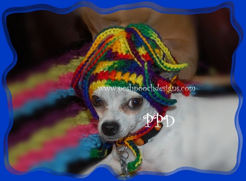 Instant Download Crochet Pattern Squiggles Dog Hat Small Dog Beanie image 4