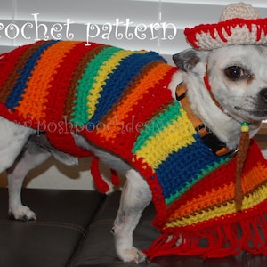 Instant Download Crochet pattern Dog Sombrero and Poncho set Cinco De Mayo image 1