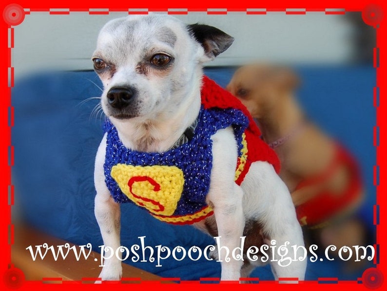 Instant Download Crochet Pattern Super Dog Sweater and Cape Small Dog 2-20 lbs image 5