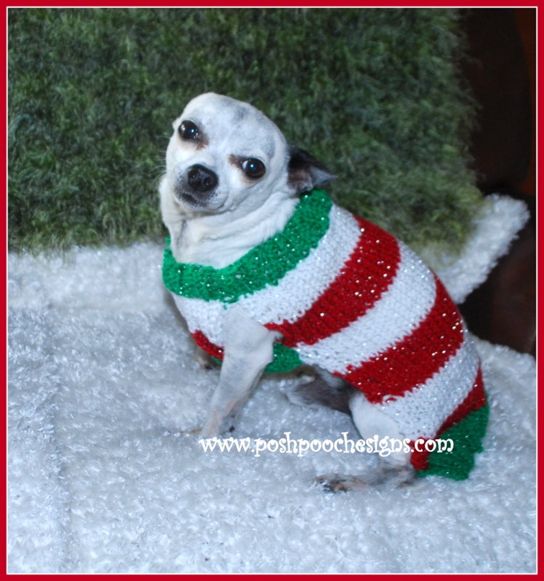 Candy Cane Dog Sweater XS S M Instant Download Knitting Etsy