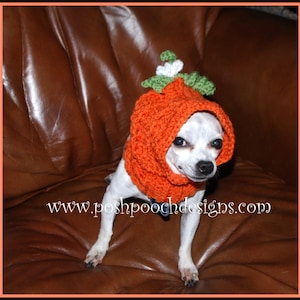 Pumpkin Dog Snood Instant Download Crochet Pattern For Small Dogs