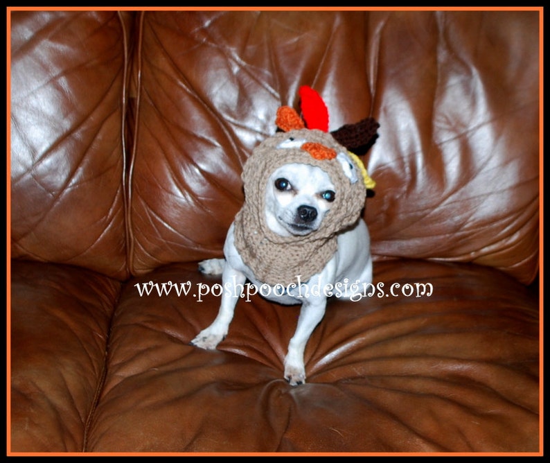 Turkey Dog Snood Instant Download Crochet Pattern For Small Dogs image 4