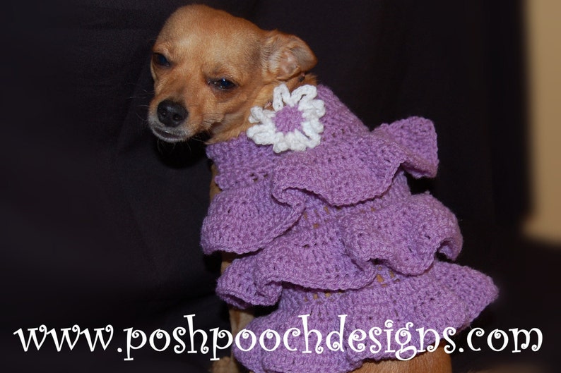 Instant Download Crochet Pattern Ruffles Dog Sweater Dress Small Dog Sweater 2-20 lbs image 5
