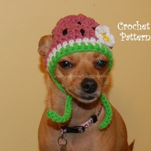 Instant Download Crochet Pattern - Watermelon Dog Hat - Small Dog Beanie