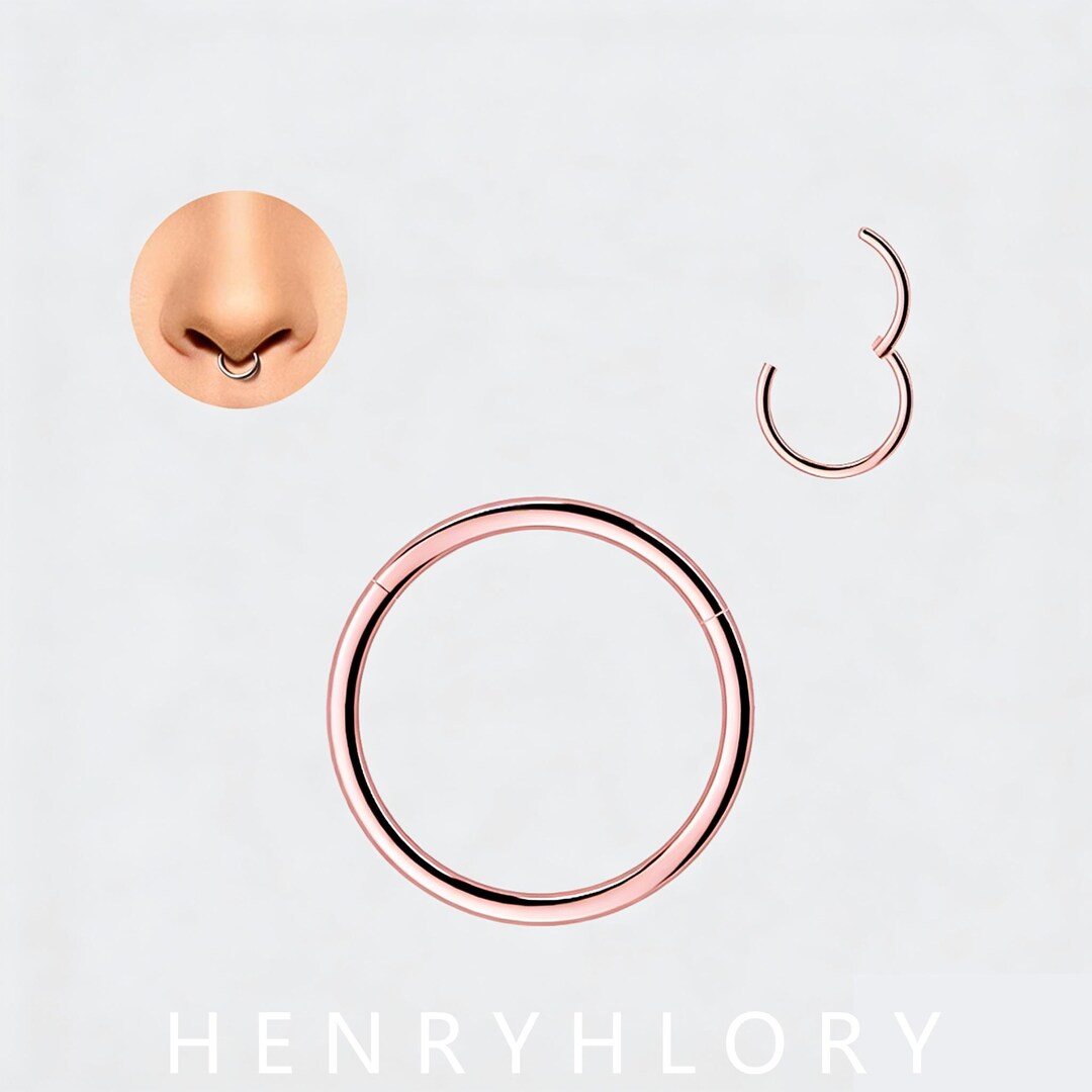 Titanium Seamless Plain Nose Hoop, Basic Round Continuous Ring, Body ...