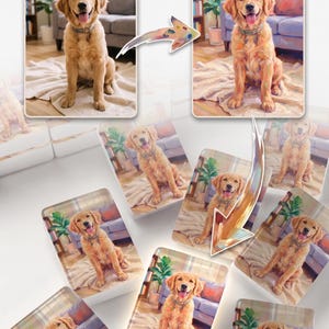 May include: A collage showing a photograph of a golden retriever sitting on a rug next to a painted version of the same image. Multiple rectangular acrylic blocks display the painted golden retriever portrait in a repeating pattern across the frame.