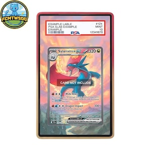 May include: A rectangular PSA graded card slab with a red border containing a Salamence ex trading card. The card features a blue dragon creature with red wings against a sunset landscape. The label reads EXAMPLE LABLE, PSA SLAB EXAMPLE, #124, MINT 10.