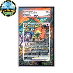 May include: A rectangular PSA graded trading card slab featuring a Charizard VSTAR illustration with orange, yellow, and purple colors. The label at the top reads EXAMPLE LABLE, PSA SLAB EXAMPLE, EXAMPLE, #124, MINT 10, and 12345678. The card text includes CARD NOT INCLUDE.