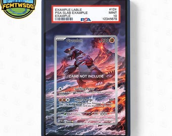 Groudon 199-182 IR AR Paradox Rift Extended Art Graded Magnetic Display Case